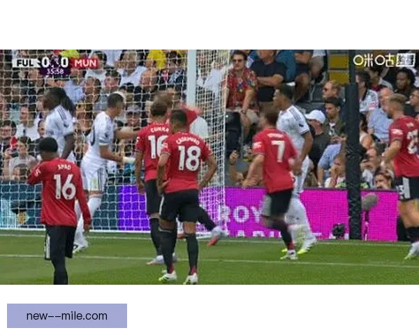 富勒姆完成伊沃比签约加强锋线实力迎新赛季挑战